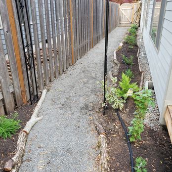 SymbiOp Landscaping - sideyard, transforming all-gravel into the promise of indigenous plant lushness in a year or two - Landscaping Near Me - Portland, Oregon SymbiOp Landscaping - sideyard, transforming all-gravel into the promise of indigenous plant lushness in a year or two - Landscaping Near Me - Portland, Oregon