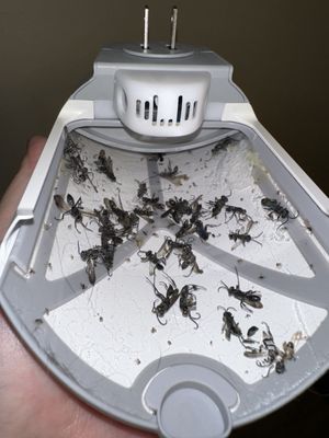 Abbey Residential LLC by null