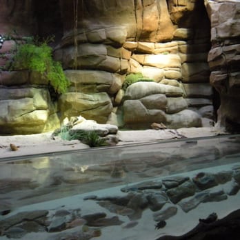Downtown Aquarium - Museums Near Me - Denver, Colorado Downtown Aquarium - Museums Near Me - Denver, Colorado