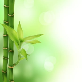 Chapman Acupuncture Clinic - WE HAVE MOVED. Visit www.chapmanacupuncture.com for our new address. - Acupuncture Near Me - Tustin, California Chapman Acupuncture Clinic - WE HAVE MOVED. Visit www.chapmanacupuncture.com for our new address. - Acupuncture Near Me - Tustin, California