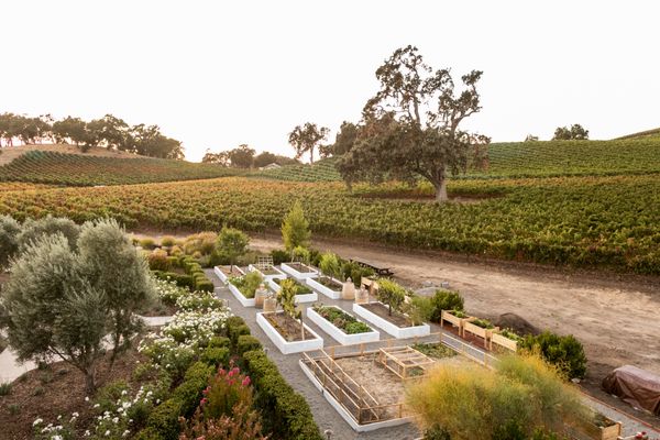 JUSTIN Vineyards & Winery by null