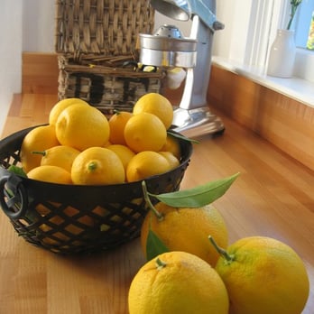 Napa Sans Souci - Fresh lemons. - Guest Houses Near Me - Napa, California Napa Sans Souci - Fresh lemons. - Guest Houses Near Me - Napa, California