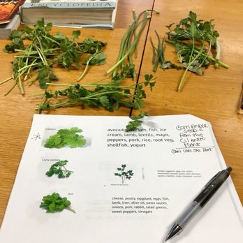 Portland’s Culinary Workshop - 79 Photos & 64 Reviews - Cooking Schools