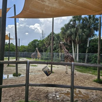 Naples Zoo - Zoos Near Me - Naples, Florida