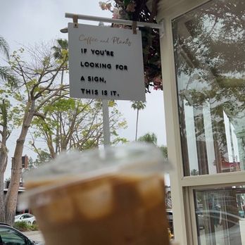 Coffee and Plants - Vanilla Latte - Coffee & Tea Near Me - Studio City, California Coffee and Plants - Vanilla Latte - Coffee & Tea Near Me - Studio City, California