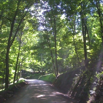 Green Ridge State Forest - Parks Near Me - Allegany, Maryland Green Ridge State Forest - Parks Near Me - Allegany, Maryland