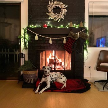 Country Nightz Ranch - Pet Breeders Near Me Country Nightz Ranch - Pet Breeders Near Me