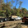 Photo of Tripoli Tree Care
