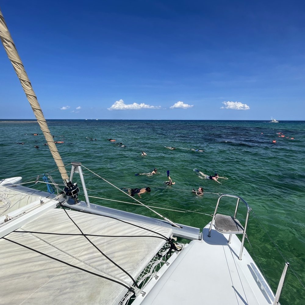 Cancun Adventures - Snorkeling - Tours Near Me - Playa del Carmen, ROO Cancun Adventures - Snorkeling - Tours Near Me - Playa del Carmen, ROO
