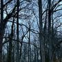 Photo of Valleycrest Park