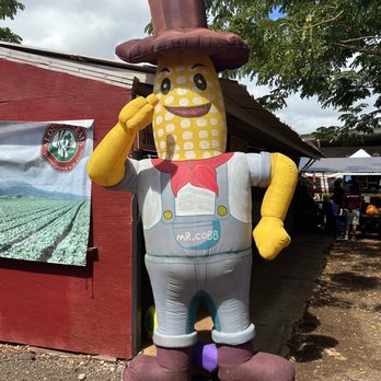 Aloun Farms - Farms Near Me - Kapolei, Hawaii