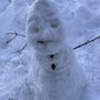 Photo of Donner Summit Sno-Park