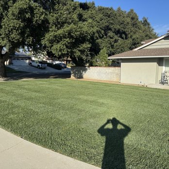 TLS Landscaping - New sod after irrigation and leveling!! - Landscaping Near Me TLS Landscaping - New sod after irrigation and leveling!! - Landscaping Near Me