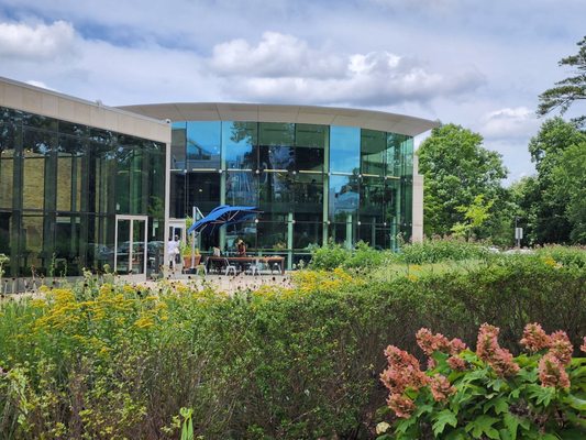 Brash Coffee by null