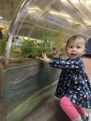 Biomes Marine Biology Center by null