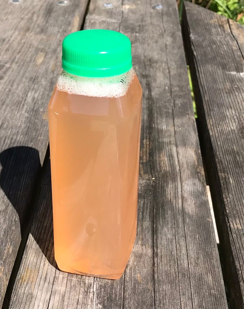 Food from Knapp Farms