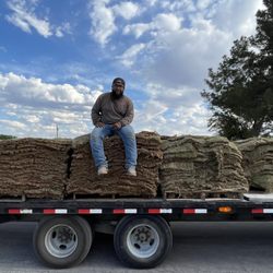 Arzis Lawn Care