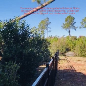 Best Price Tree Service - Tree Services Near Me - Hermitage, Pennsylvania
