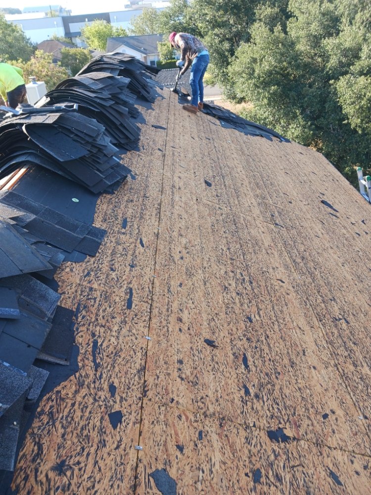 Slide of L&J Gonzalez Roofing