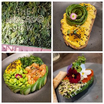 The Avocado Show - Breakfast & Brunch Near Me - Amsterdam, New Hampshire The Avocado Show - Breakfast & Brunch Near Me - Amsterdam, New Hampshire