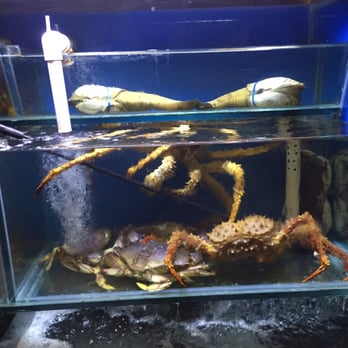 King Palace - Alaskan king crab - Chinese Near Me - San Ramon, California King Palace - Alaskan king crab - Chinese Near Me - San Ramon, California
