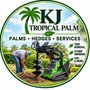 KJ Tropical Palm