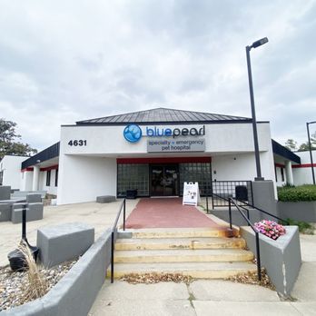 BluePearl Pet Hospital - Veterinarians Near Me - Des Moines, Iowa BluePearl Pet Hospital - Veterinarians Near Me - Des Moines, Iowa