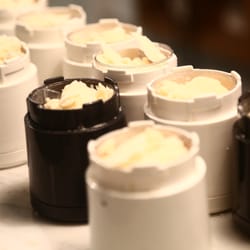 La Compagnie Française - Parmezzan