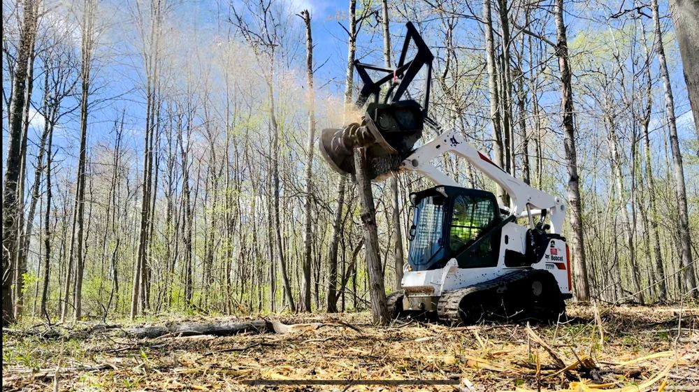BL Landworks - tree service in Esperance, NY
