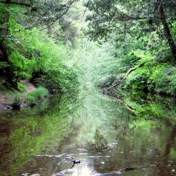 San Mateo County Memorial Park - Parks Near Me - Loma Mar, California San Mateo County Memorial Park - Parks Near Me - Loma Mar, California