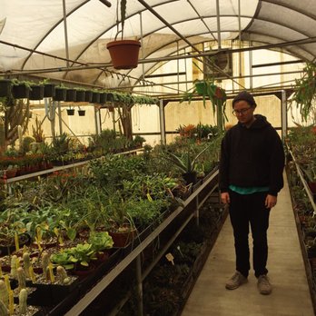 Poot's Cactus Nursery - Nurseries & Gardening Near Me - Ripon, California