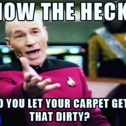Neptunes Carpet Cleaning - Got dirty carpets? Call to schedule your appointment or for a free estimate. 805-832-9593