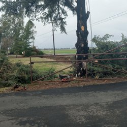 Horizon Tree Service - For all your tree needs