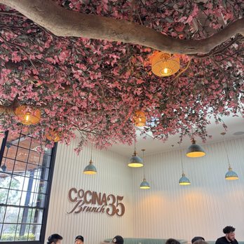 Cocina 35 - Mexican Near Me - San Diego, California Cocina 35 - Mexican Near Me - San Diego, California