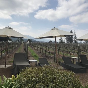 Casas del Bosque - Wineries Near Me - Casablanca, VS