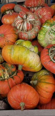 Musso Farms by null