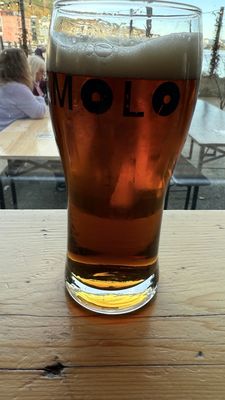 Molo Brew by null