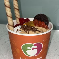 Small Cup of Froyo
