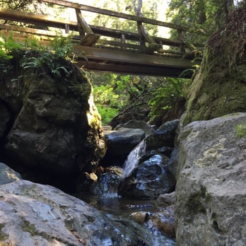 Steep Ravine Trail - Hiking Near Me