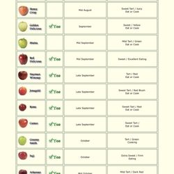Deal Apple Orchards - Apple varieties