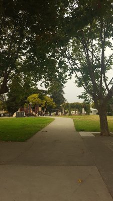 Memorial Park by null