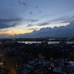 The view