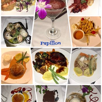 Papillon - French Near Me - Fremont, California Papillon - French Near Me - Fremont, California