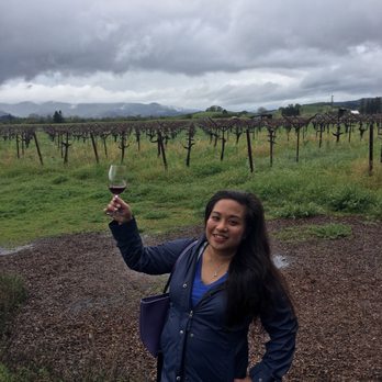 Frog's Leap Winery - Their vines! - Wineries Near Me - Rutherford, California Frog's Leap Winery - Their vines! - Wineries Near Me - Rutherford, California