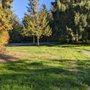 Photo of Bow Hill Rest Area