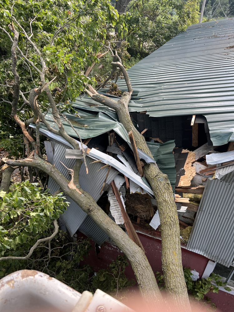 Bark Busters Tree Service - tree service in Stockbridge, MI
