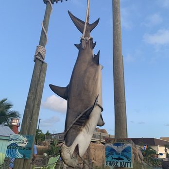 Lighthouse Cove Adventure Golf - Shark - Mini Golf Near Me - Cocoa Beach, Florida Lighthouse Cove Adventure Golf - Shark - Mini Golf Near Me - Cocoa Beach, Florida