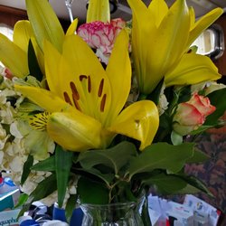 Flora Designs - Bruised petals, bent and broken