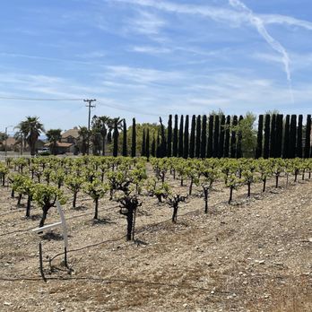 Rancho De Philo Winery - Vineyards on property. - Wineries Near Me - Rancho Cucamonga, California Rancho De Philo Winery - Vineyards on property. - Wineries Near Me - Rancho Cucamonga, California
