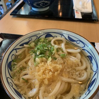 Marugame Udon - Kake udon (regular sized) - Japanese Near Me - Berkeley, California